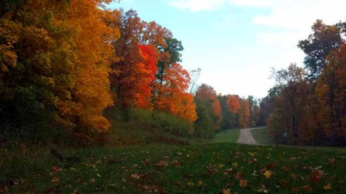 Micihigan, Autumn, Huron Meadows Metro Park