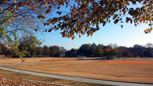 Autumn, Piedmont Park, Atlanta, Georgia, ATL
