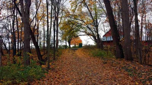 Findlay, Ohio, Autumn Colors