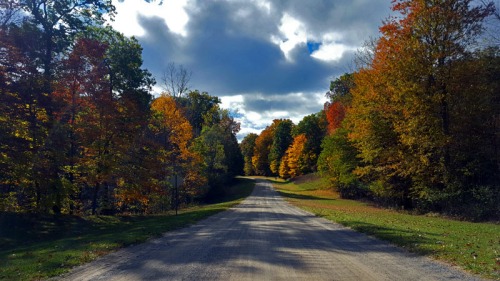 The 2016 Edition of Autumn in Pure Michigan