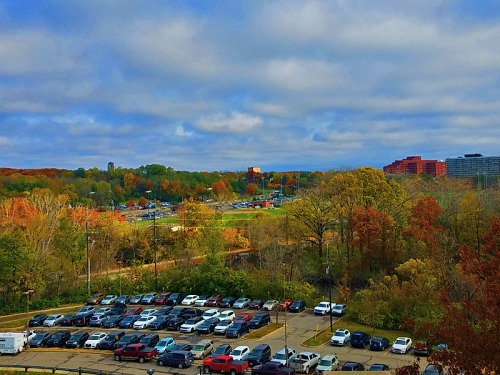 Ann Arbor overlook from University of Michigan hospital, Fall colors